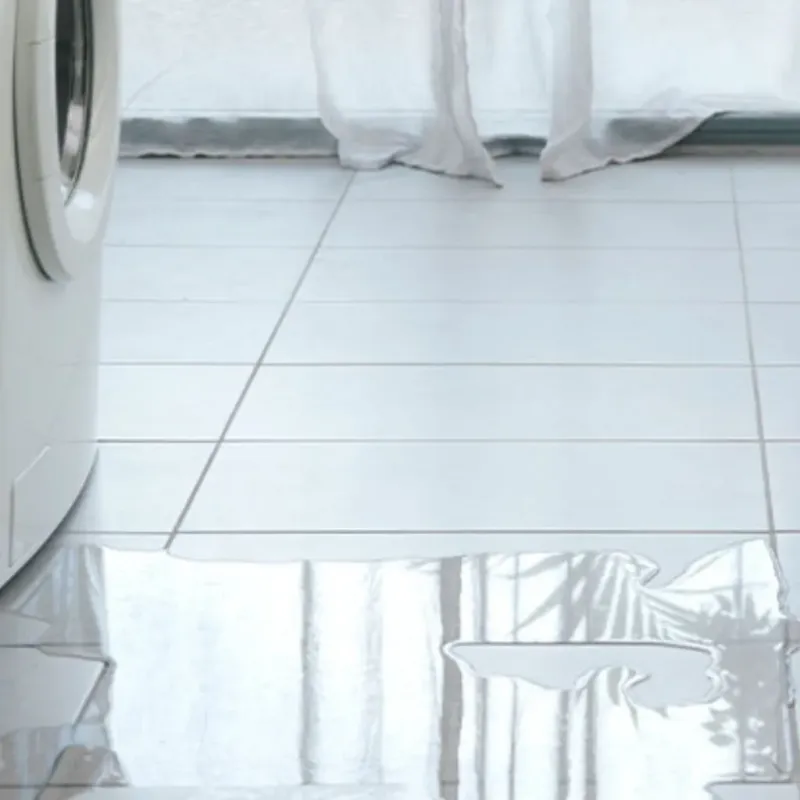 Appliance Leak Cleanup in Red River Parish, LA