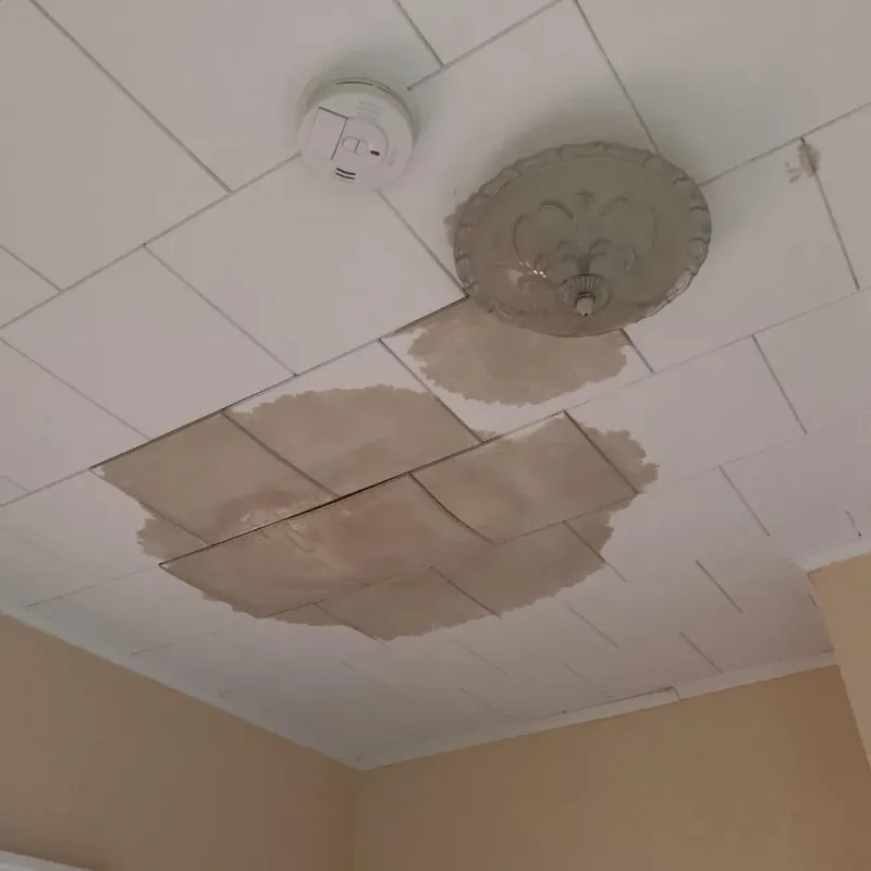 Ceiling Water Damage Repair in Red River Parish, LA